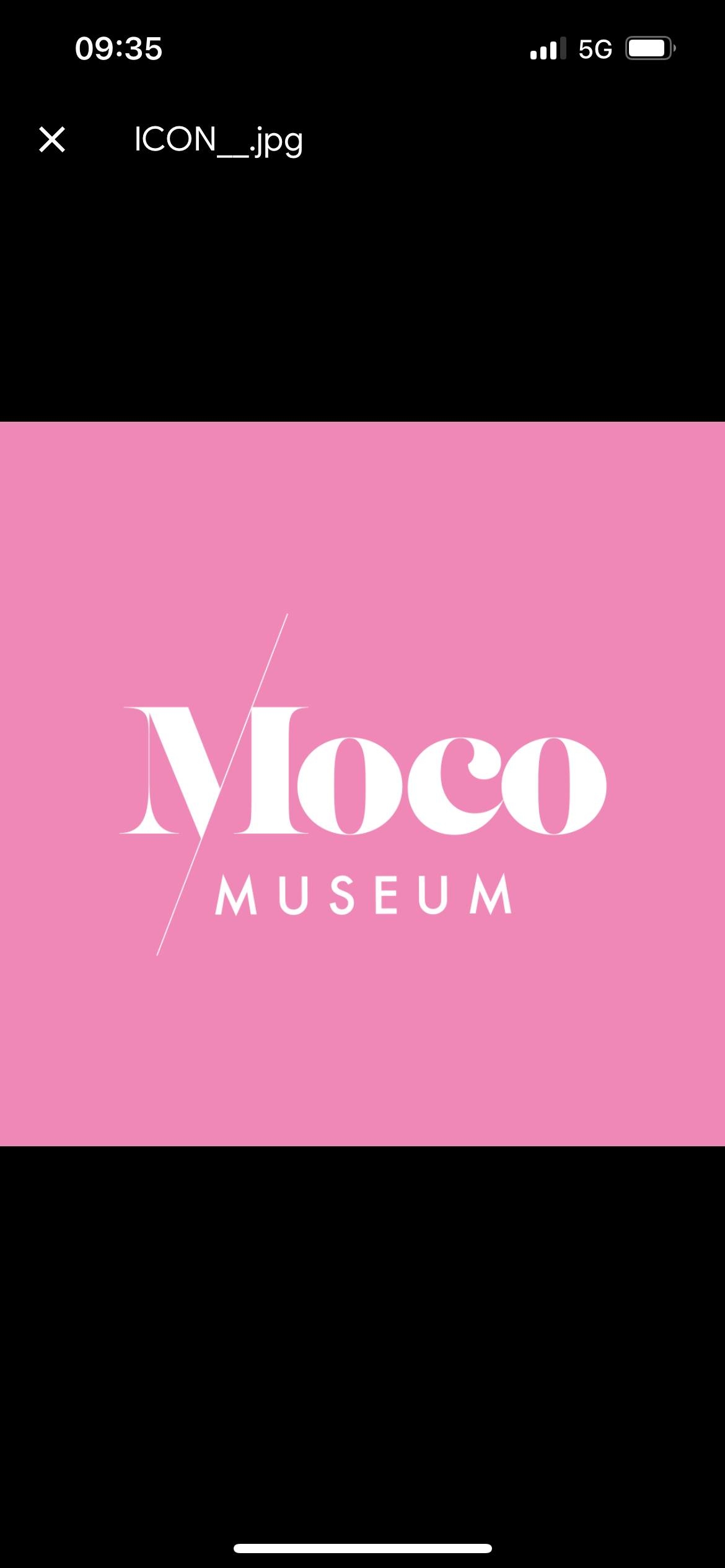 Moco Museum