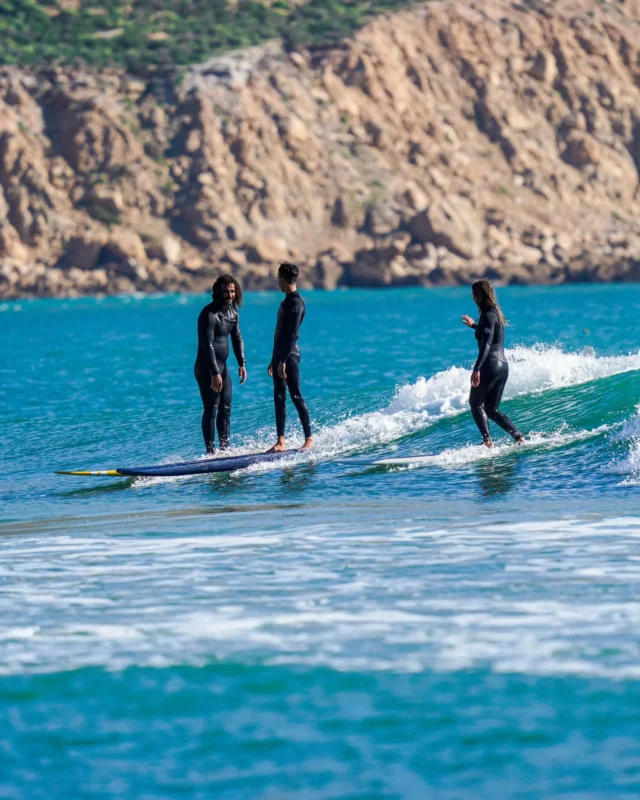 Surf & Friends