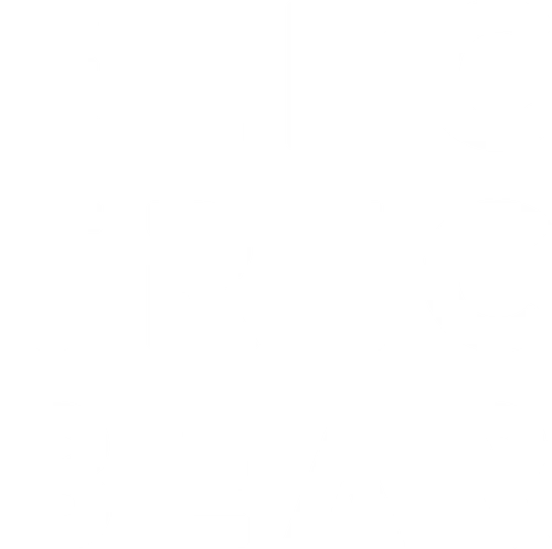 Electric Bear Brewing Co