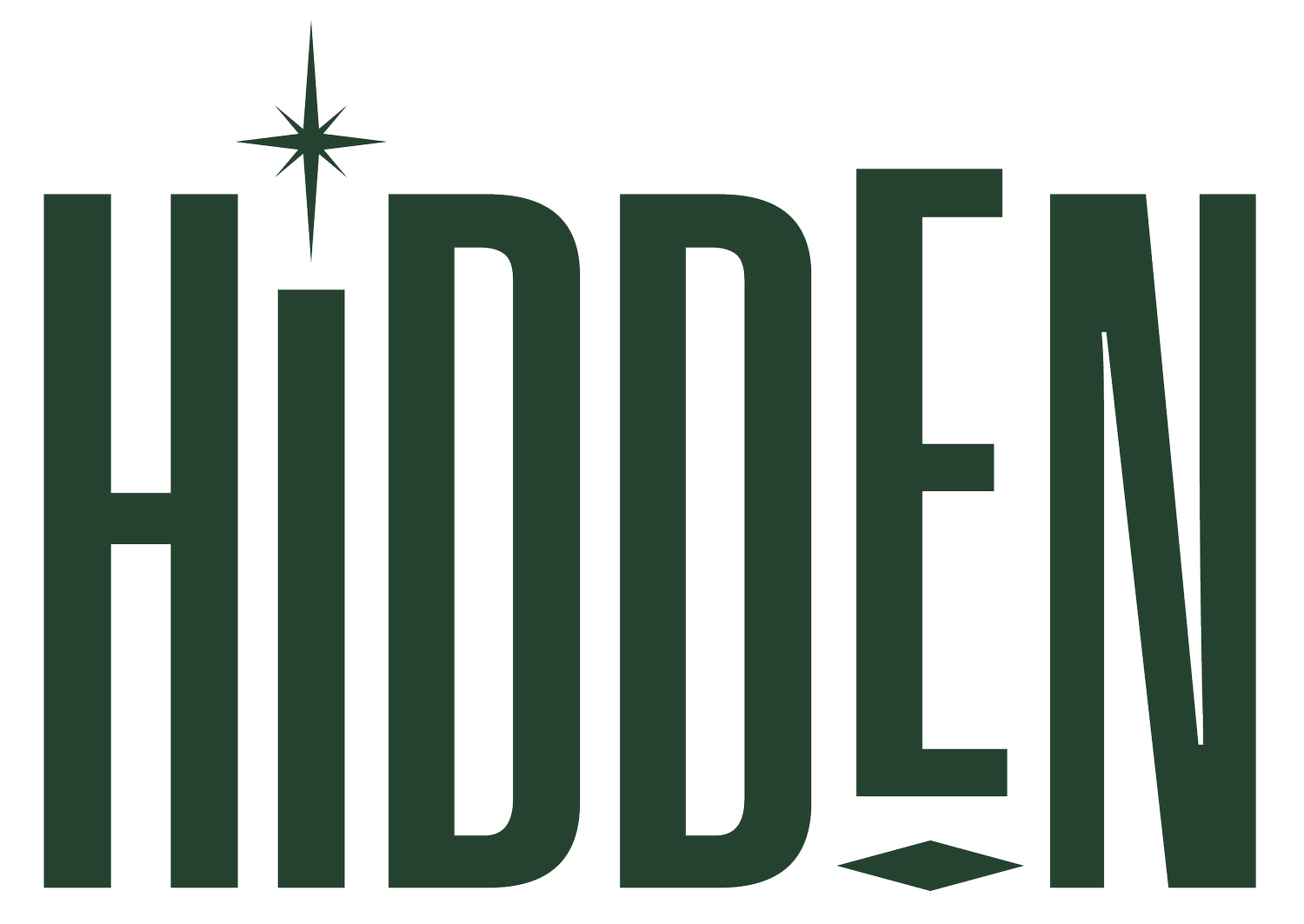 Hidden Store